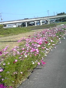 ̎q̃StBuO-091018_1308~01.JPG
