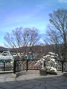 ̎q̃StBuO-091115_1212~01.JPG